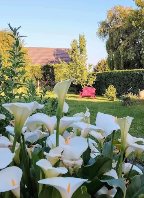 Le Jardin Des Lacs Gite Nature Et Spa Ardres Exterior photo